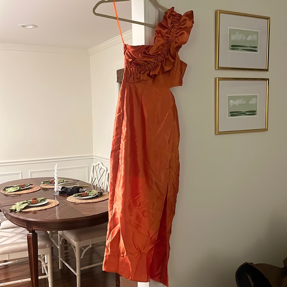 Selfie Leslie Dress